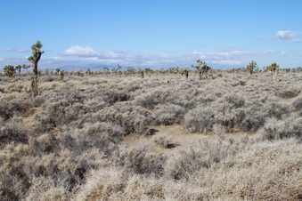 Enlarge photo 27