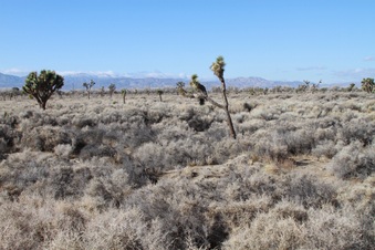 Enlarge photo 28