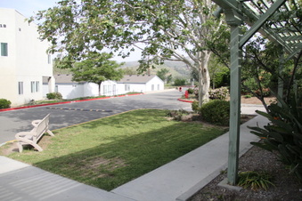 Enlarge photo 32