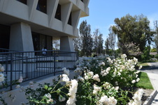 Enlarge photo 84