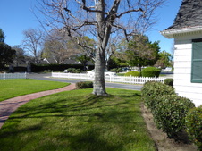Enlarge photo 15