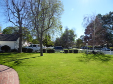 Enlarge photo 17