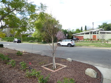 Enlarge photo 40