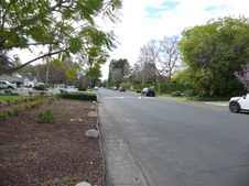 Enlarge photo 42