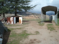 Enlarge photo 31