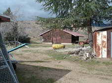 Enlarge photo 32