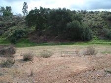 Enlarge photo 40