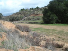 Enlarge photo 42