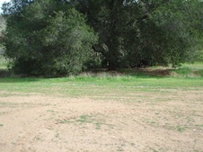 Enlarge photo 43