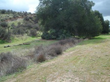Enlarge photo 45