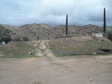 Enlarge photo 47