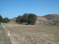 Random Locations