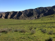 Piru Ranch