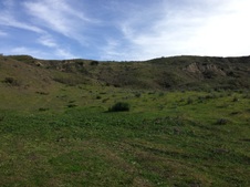 Enlarge photo 3