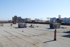 Enlarge photo 107