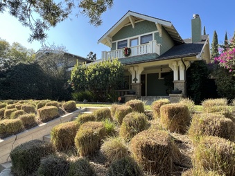 125 Wilton Dr - LA