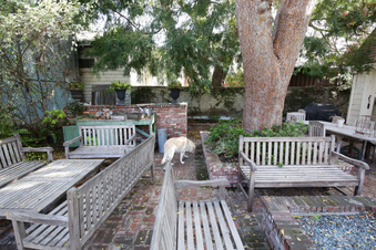 Enlarge photo 46