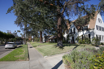 Enlarge photo 57