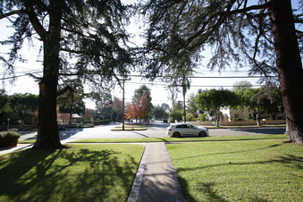 Enlarge photo 59
