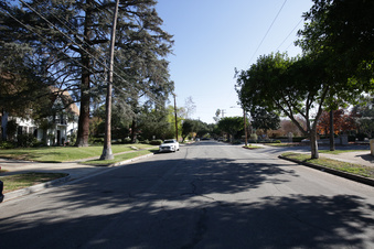 Enlarge photo 61