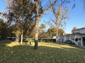 Enlarge photo 25
