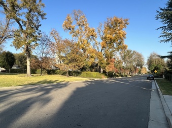 Enlarge photo 32