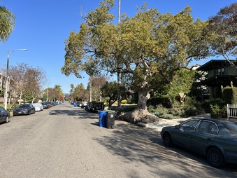 Enlarge photo 26