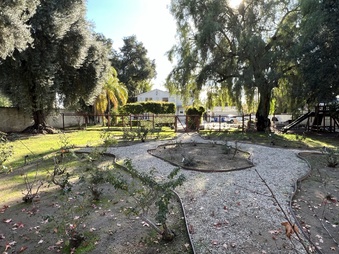 Enlarge photo 33