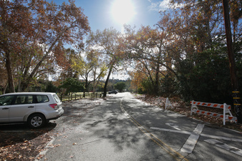 Enlarge photo 31