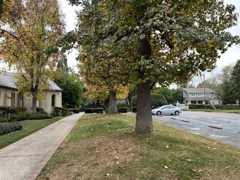 Enlarge photo 14