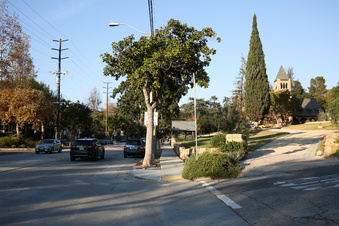 Enlarge photo 20