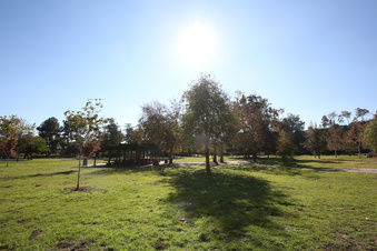 Enlarge photo 9