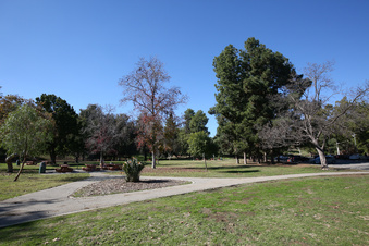 Enlarge photo 12