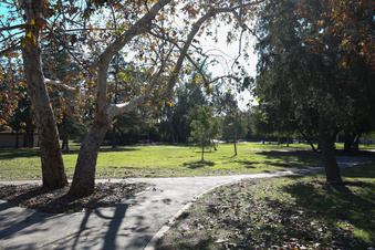 Enlarge photo 14