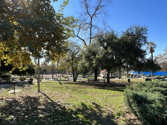 Enlarge photo 14
