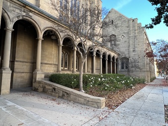 Enlarge photo 21
