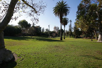 Enlarge photo 11