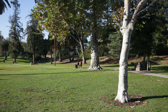 Enlarge photo 12