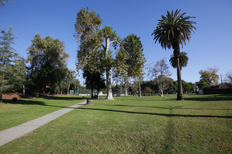 Enlarge photo 14