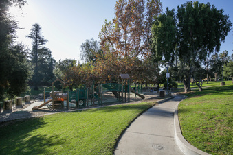 Enlarge photo 16
