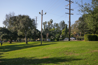 Enlarge photo 17