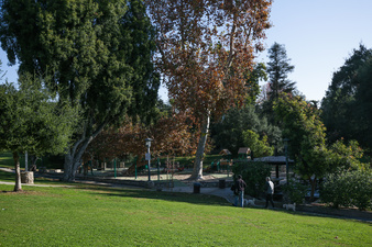 Enlarge photo 20