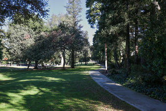 Enlarge photo 28