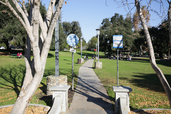 Enlarge photo 31