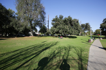 Enlarge photo 33