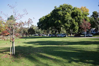 Enlarge photo 37