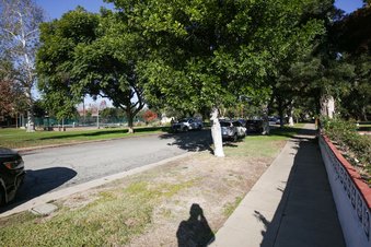 Enlarge photo 39