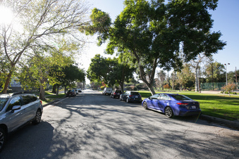 Enlarge photo 41