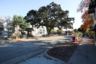 Enlarge photo 11