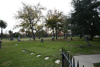 Enlarge photo 16